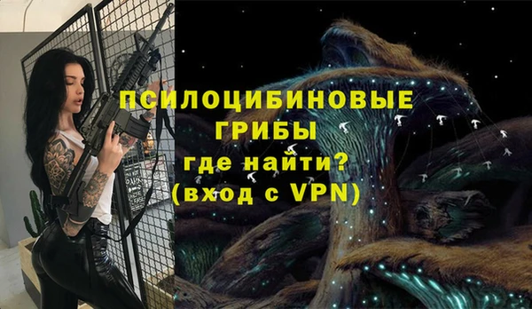 прущие крисы Бородино