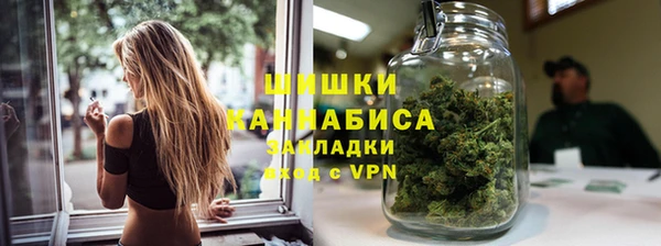 прущие крисы Бородино