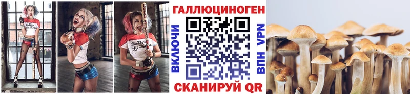 купить наркоту  кракен ONION  Галлюциногенные грибы Psilocybine cubensis  Красногорск 