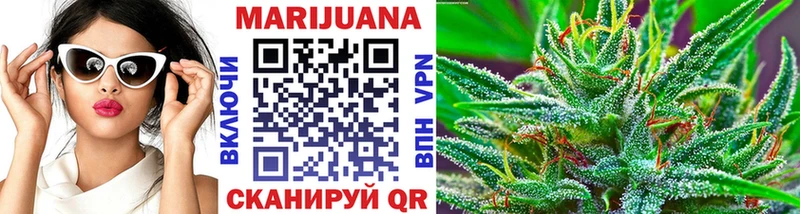 это клад  где найти   Красногорск  Каннабис индика 